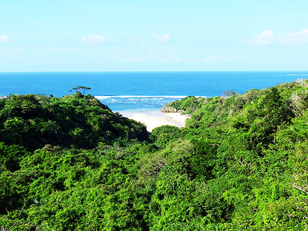 沖縄 石垣島 川平